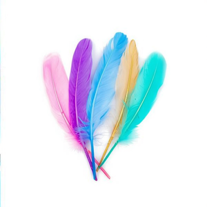 ILAN Pluma 14cm 5 Pezzi Piume Decorative Colori Assortiti - Product Image 2