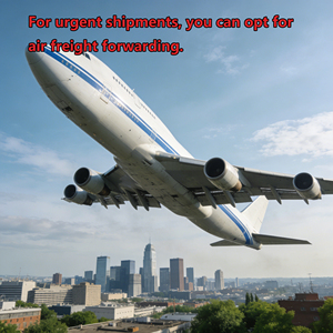 Trasporto Aereo Porta a Porta di Prima Classe a Livello Globale |   FBA e Dropshipping |   Linea Australia, Nuova Zelanda, <span class=keywords><strong>Russia</strong></span>, Pakistan |   Spedizione Espressa Tramite UPS/DHL - Product Image 2