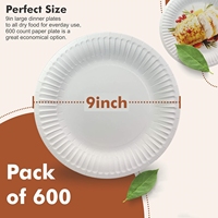 Assiettes en papier de fête blanches jetables écologiques de 7 pouces, 9 pouces Assiette en papier personnalisées biodégradables non couchées