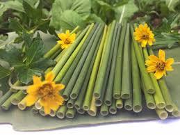 หลอดดูดหญ้าเวียดนาม-ทางเลือกที่ดีที่สุดและราคาที่ดีที่สุดหลอดหญ้า - Product Image 2