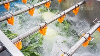 Commerciële Ozon Voedsel Sla Kokosnoot Groene Wortel En Blad Groente Dragon Fruit Luchtbel Desinfectie Wasmachine