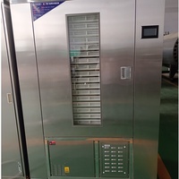 Four de séchage des aliments Offre Spéciale 1P 200KG par lot Séchoir à légumes Machines de traitement des fruits et légumes