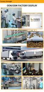 OEM/ODM Guangdong Pembersih Mulut Hewan Peliharaan Teefrice Menyegarkan Napas Memutihkan Gigi Menghilangkan Karang Gigi 100g Bubuk Gigi Anjing Kucing Sendok - Product Image 6