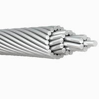 Produits à succès : Câble conducteur aérien ACSR Rabbit Bare en aluminium, norme BS 215, provenant d'un fournisseur chinois