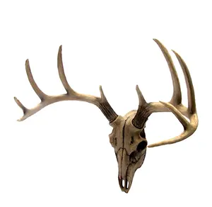 Rack Bust Hunting Cabin or Lodge Decor Head Wall Mount Resin Deer Antler