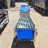 Fruit Sorteermaat Bosbessen Sorteermachine Kersen Oranje Bessen Sorteermachine Vruchtensorteermachine