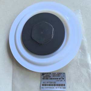 Feuille de diaphragme en PTFE Chengji DM7BYPP 186 mm haute pression pour pompe chimique - Product Image 2