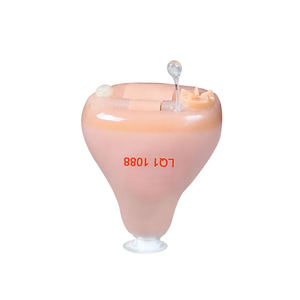 Ventes chaudes <span class=keywords><strong>2023</strong></span> Meilleures aides auditives ITE Amplificateur auditif entièrement numérique Améliorer AcoSound L8-IF-P Garantie de 2 ans 8 canaux A13 - Product Image 2