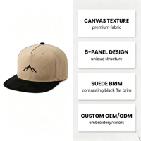 Casquettes Snapback avec broderie 3D personnalisée, coton sergé de haute qualité, OEM ODM, personnalisation de la marque, faible MOQ, flexibles