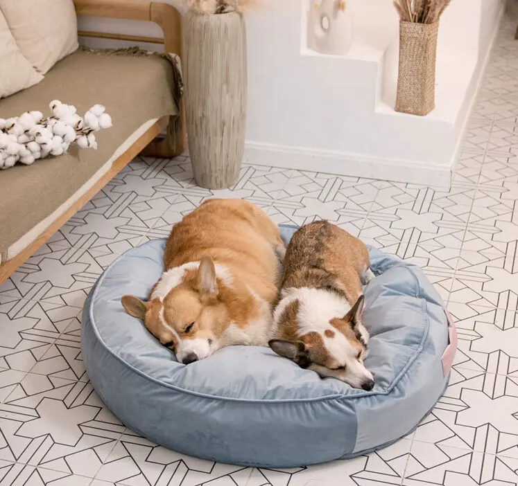 High End Huisdier Bed Luxe Hond Bed Zachte Fluwelen Huisdier Sofa Met Verwijderbare Cover Verkrijgbaar In Meerdere Kleuren