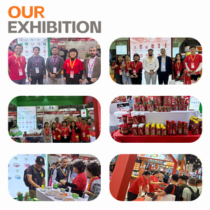 Precio de fábrica, la <span class=keywords><strong>mejor</strong></span> base para Pizza, salsa de <span class=keywords><strong>tomate</strong></span>, Ketchup, combinación perfecta para pollo <span class=keywords><strong>frito</strong></span>, patatas fritas, hamburguesas, bolsita a granel - Product Image 5