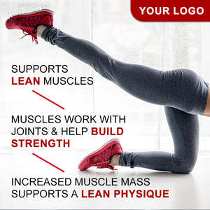 Poudre d'isolat de protéines de lactosérum au <span class=keywords><strong>chocolat</strong></span> OEM/ODM, BCAA + Glutamine, faible en glucides, sans sucre, pour la force musculaire, récupération pré et post-entraînement - Product Image 3