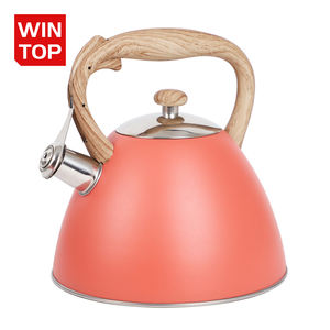 3.0L 새로운 디자인의 스토브탑 스테인리스 스틸 티포트, 식품 등급 맞춤형 베스트셀러 인덕션 바닥 휘슬 주전자 - Product Image 1