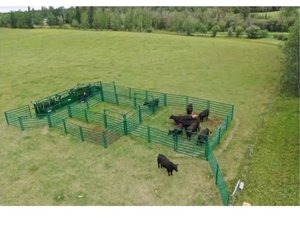 Painel de Cerca Galvanizado para Gado, Ovelhas e Cavalos com Design Curvo, Proteção de Segurança, Conexão com Dobradiça, Costura Robusta - Product Image 6