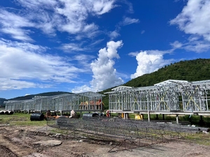 Dịch vụ thiết kế kết cấu thép với các giải pháp hiệu quả về chi phí và tính toán chính xác - Product Image 3