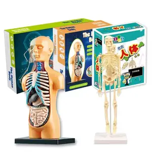 Kit de Ciencia de partes del cuerpo humano educativo temprano, herramienta ecológica, juguetes de plástico para niños