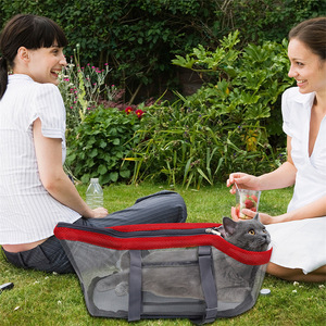 Sac de transport respirant pour animaux de compagnie, grande capacité, pliable, pour chiens et chats, gris, rouge, design en maille, utilisation en extérieur - Product Image 1