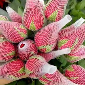 Nhà Máy Outlet Giá Rẻ Nhựa Bền Hình Ống Trong Suốt Hoa Lưới Túi Nụ Bảo Vệ Tay Áo Đóng Gói Tăng Net - Product Image 1