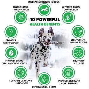 11 في 1 مكملات فيتامينات الغذاء للكلاب لفخذها و المفاصل مكملات فيتامينات تغذية للحيوانات الأليفة - Product Image 5