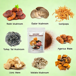 OEM Mezcla de Melena de León, Maitake, Chaga, Cordyceps, <span class=keywords><strong>Ganoderma</strong></span> Reishi, Extracto de Hongos en Polvo, Fórmula Multihongos, Marca Privada - Product Image 4
