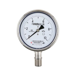 Manomètre à vide résistant aux chocs en acier inoxydable Shanghai Automation Instrument Y-60BFZ/Y-100BFZ/Y-150BFZ - Product Image 6