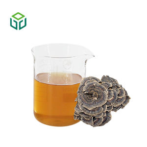 Пищевой органический экстракт гриба Turkey Tail в порошке, растительный экстракт с полифенолами в бутылке - Product Image 2