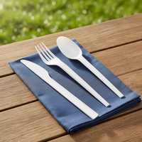Couverts jetables biodégradables en CPLA sans plastique pour restaurants aériens (couteau, fourchette, cuillère) – Vaisselle compostable OEM