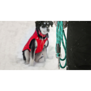 Tùy Chỉnh Mật Độ Cao Đầy Màu Sắc <span class=keywords><strong>Nylon</strong></span> Bện Dây Con Chó Dây Xích Có Thể Điều Chỉnh An Toàn Vải Cho Mèo Đi Bộ Cá Nhân Logo Bền Vững - Product Image 6