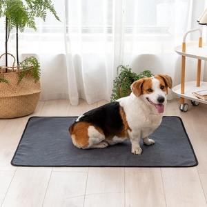Suministros de comportamiento de entrenamiento para gatos y cachorros, polar de TPU Material, almohadillas para orina, instrucciones de limpieza para cachorros, productos para mascotas - Product Image 4
