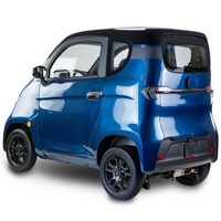 Voiture Électrique Commerciale Compacte Haute Performance 2000W Batterie Lithium Caméra Arrière Toit Métallique Porte-Bagages Toit Sombre 2 Places Propulsion Arrière Cuir