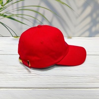 Gorra de Béisbol de 6 Paneles, Bordada a Mano, con Logotipo Personalizado, Estampado Floral Deportivo, Neutral, de Algodón, Sin Estructura, Formal, Comercial