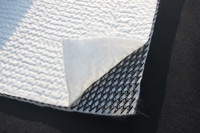 Construction de routes HDPE 3D Composite Drainage Geonet Filet de drainage composite tridimensionnel