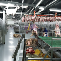 Ensemble d'équipements de traitement du bétail pour l'abattage : Scie à viande, Rail de levage, Crochet de levage, Élévateur de carcasses, Boîte d'étourdissement
