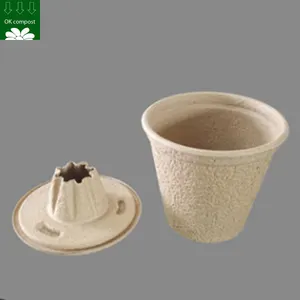 Customizing Service Compostable Bagasse Fiber Molded Flower Pots Eco Friendly Pulp Biodegradable For Plants