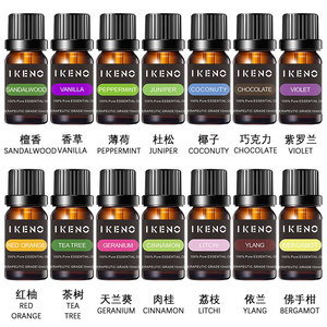 長時間持続可能なFREESIAエッセンシャルオイルリセラーカスタマイズ容量フレッシュエアアロマセラピーエッセンシャルオイル - Product Image 3