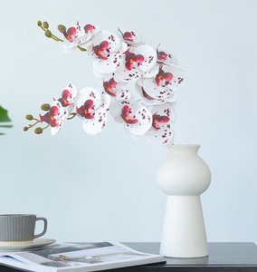 Offerta Speciale: Orchidea Phalaenopsis Artificiale Isleforest Real Touch Film, 7 Steli, Stampa 3D, Decorazione Floreale Moderna di Alta Gamma per Soggiorno - Product Image 4