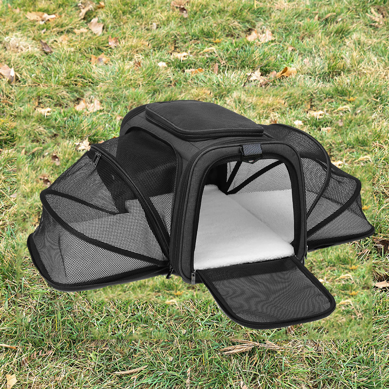 Nero con bordo nero