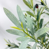 Arbre d'olivier suspendu écologique tendance, 1,8 m, avec feuilles de sauge artificielles au toucher réaliste et fruits, décoration bohème pour la maison