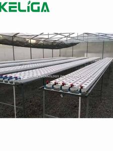 Système hydroponique de culture de fraises d'intérieur écologique pour l'agriculture Serre Système hydroponique d'irrigation à tuyau carré NFT - Product Image 5