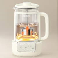 Bouilloire électrique à arrêt automatique avec prise européenne, bouilloire à eau chaude électrique en verre, théière coréenne, bouilloire électrique avec filtre en acier inoxydable.