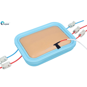 Modèle de moule de peau en PVC de pratique d'infirmière médicale pour l'échantillonnage de sang et l'injection <span class=keywords><strong>intraveineuse</strong></span> pour la formation en sciences médicales - Product Image 1
