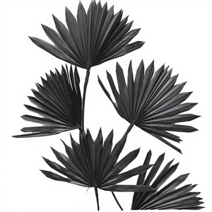 Hoja de Palma Seca, Ecológica, Teñida Naturalmente, Flor Preservada, Decoración para el Hogar, Boda, Pascua, Halloween, Día de la Madre, Día de San Valentín - Product Image 2