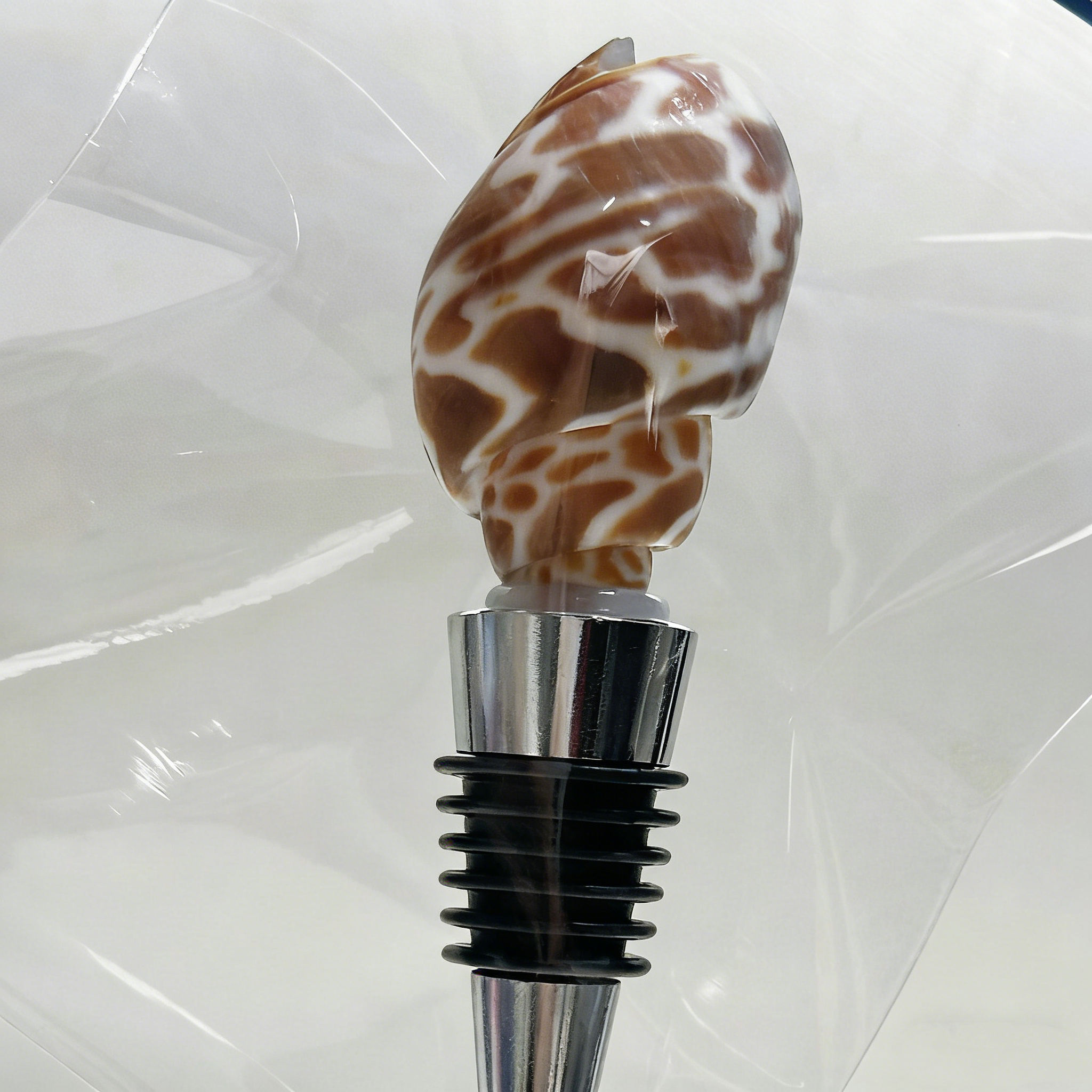 Coquille de dragon en argile