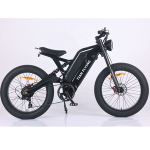 จักรยานไฟฟ้าไฮบริด 1000W 750W 500W 250W จักรยานอ้วน จักรยานไฟฟ้าเสือภูเขา (FP-EB25002) - Product Image 1