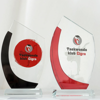 Personal isierte benutzer definierte rote schwarze Kurve Kristall Plaque Award Kristall Plakette