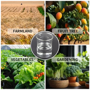 Fertilizzante Fogliare Ca Mg S ad Alta Purezza con Rapido Assorbimento per Piante - Product Image 5