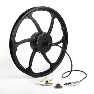 DGWZ 20 pollici 24/36V/48V 350W 500W Brushless mozzo motore elettrico <span class=keywords><strong>bicicletta</strong></span> <span class=keywords><strong>ruota</strong></span> mozzo motore con <span class=keywords><strong>ruota</strong></span> anteriore - Product Image 1