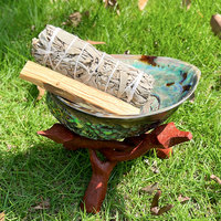 Coquille d'ormeau naturel de 5 pouces avec porte-encens en bois et bol de tache de sauge pour nettoyer les bavures
