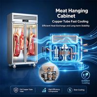 Vitrine Réfrigérée de Supermarché pour Viande, Armoire de Maturation de Bœuf, Réfrigérateur Double Température 400L