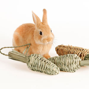 Cage à légumes tressée écologique et durable pour lapins, Totoro, hérisson hollandais, radis, plantes comestibles diverses, abri pour petits animaux - Product Image 2